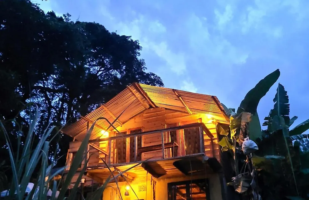 Aroma Home - Eco-Cabins On A Coffee Farm-1